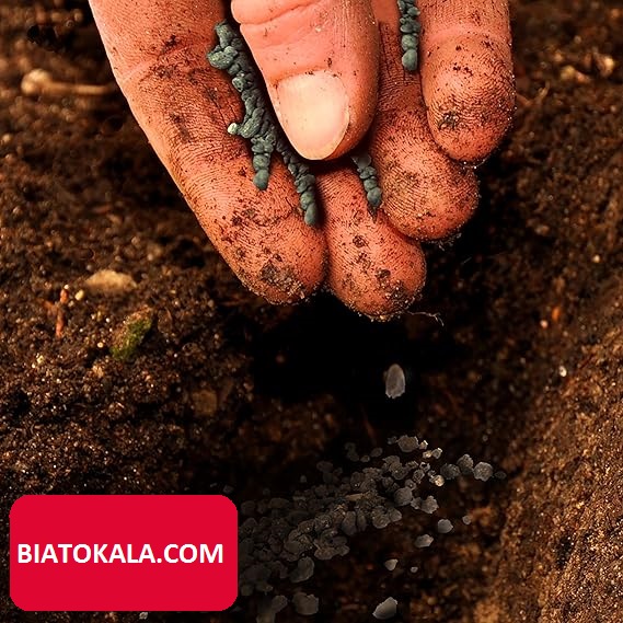 کود دهی به گیاهان و خاک